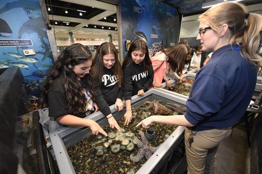 Students engage in hands-on science experiences at Education Outreach Day, like touching and learning about sea life.