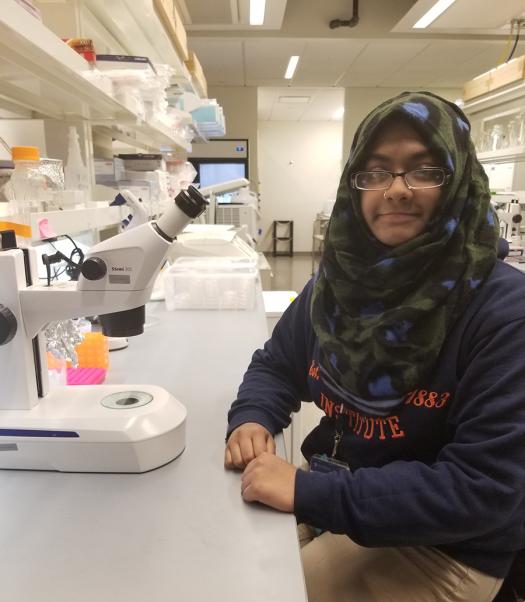 Sumaita studies meiosis with undergraduate students and Dr. Yumi Kim.