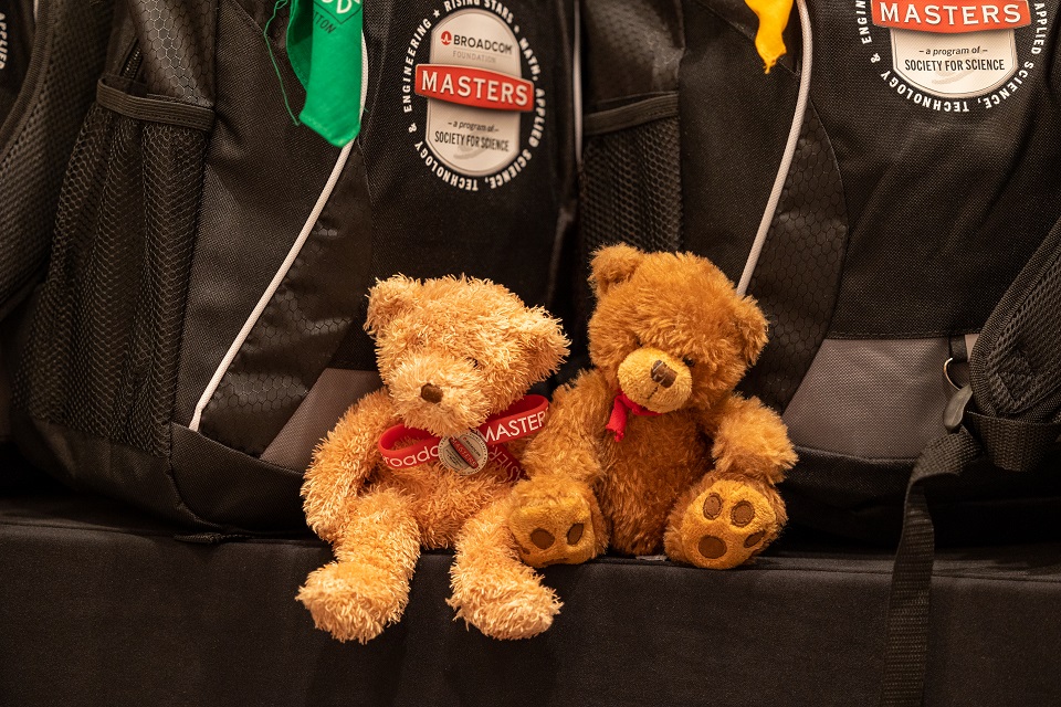 An image of the Broadcom Bear