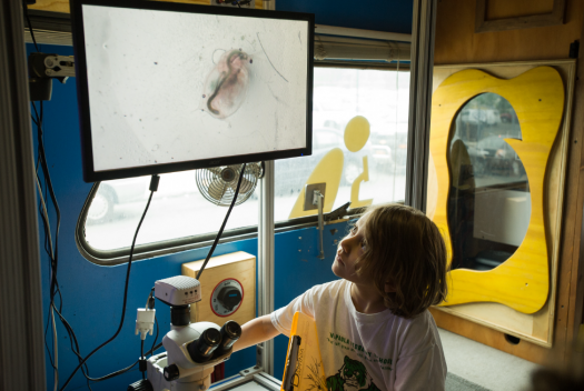 A student works with a microscope on the BioBus. 