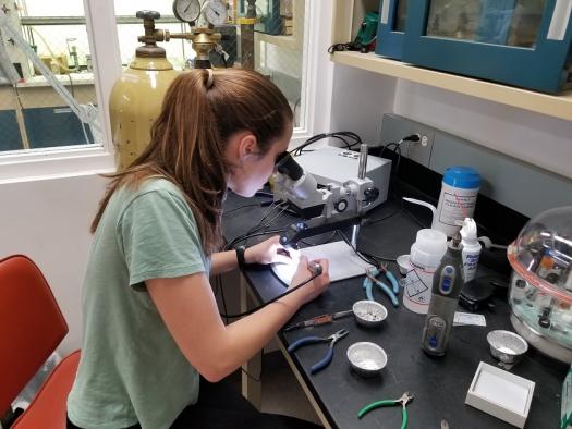 Carolyn conducting some research in the lab