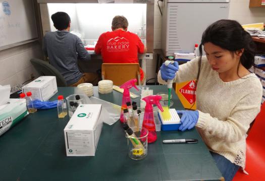 The team conducted research in their high school lab, even coming in on snow days to collect data.