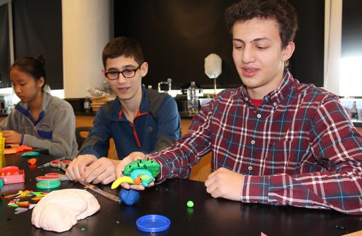 Students created Play-Doh brain models.