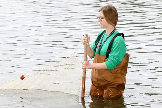 Zoe Gotthold used a net to sein in the Chesapeake Bay during Broadcom MASTERS 2017.