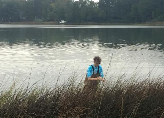 Jack Van Straten found shorelines plagued with invasive species had less biodiversity.