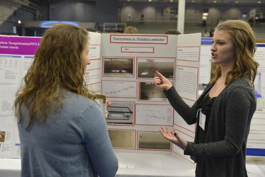 Maine student, Kaitlyn Dunham, explaining her research. 