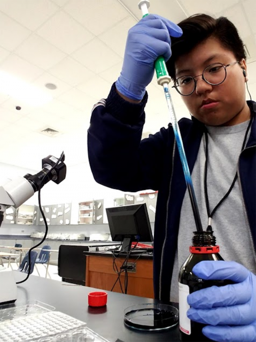 Mary Fish's students study zebrafish because it is convenient to conduct diverse types of research on them.