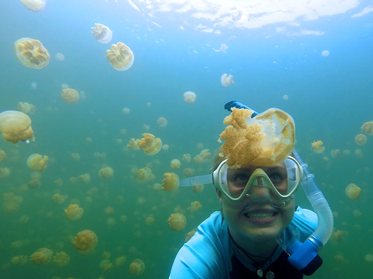 Meghan swims with jellyfish in Palau.