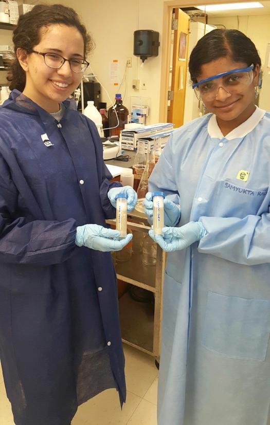 Niki and Samyukta interned at the Center for Advanced Sensor Technology at the University of Maryland-Baltimore County.