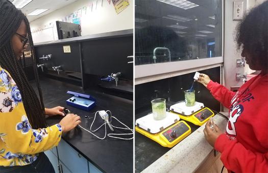 Tahnee’s students set up a titration experiment with a high accuracy drop counter (left) and monitor pH and temperature of broccoli to investigate chlorophyll degradation (right).