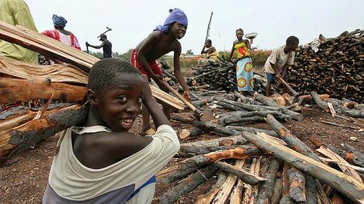 In rural areas, people often use firewood as a source of energy. This is contributing to deforestation and climate change.