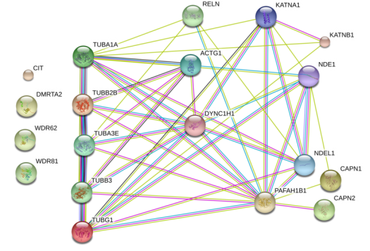 A number of colorful circles connected by a colorful web