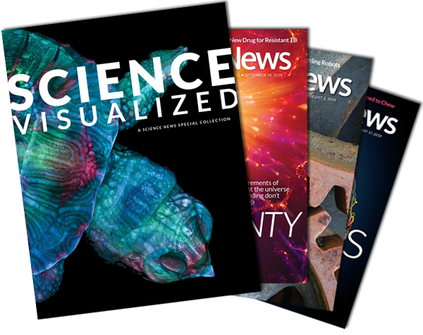 Science Visualized 2020 edition