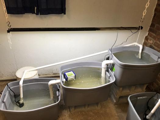 A box floating in a makeshift fountain