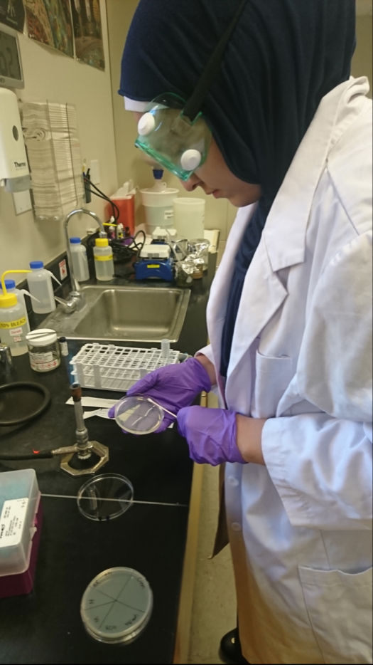 Saffeyya-Grace in the lab testing her remedies on petri dishes