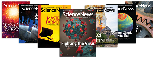Science News covers 2020
