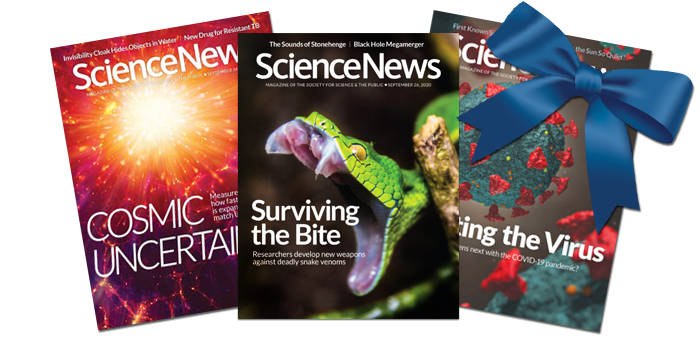 Science News covers 2020