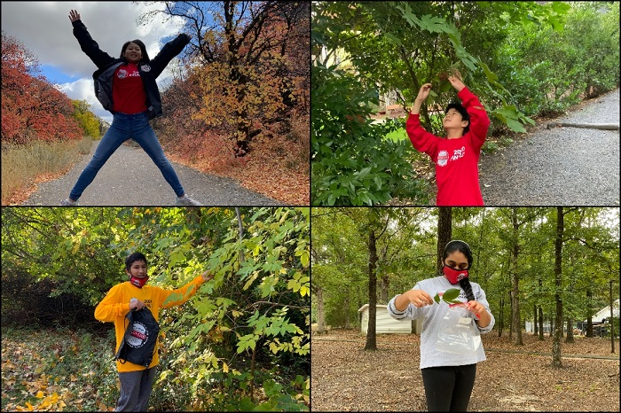 grid of four photos of students collecting leaves outdoors