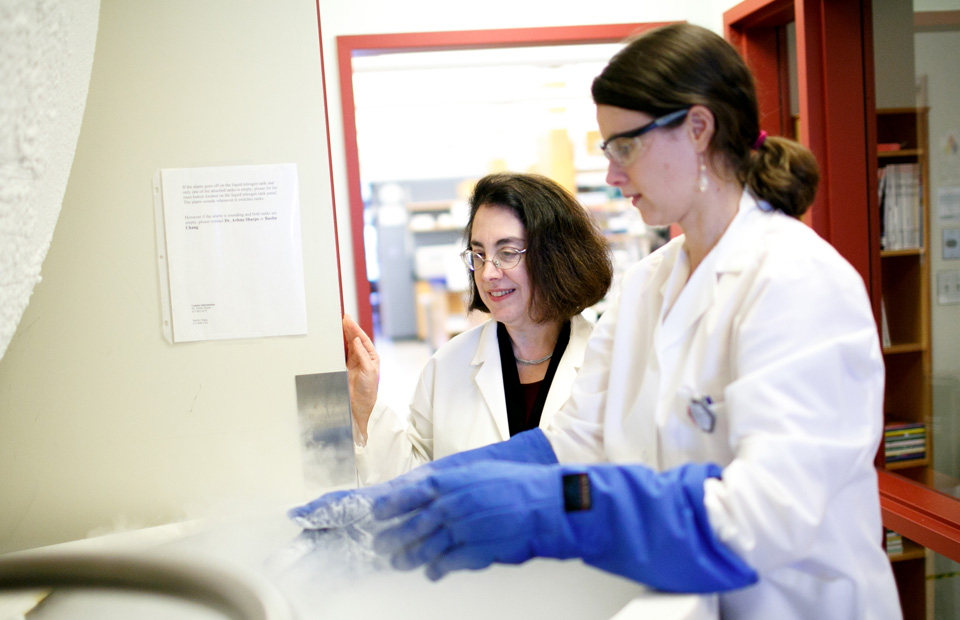 Notable Alumni Arlene Sharpe working with a graduate student at the Sharpe Laboratory at Harvard Medical School.