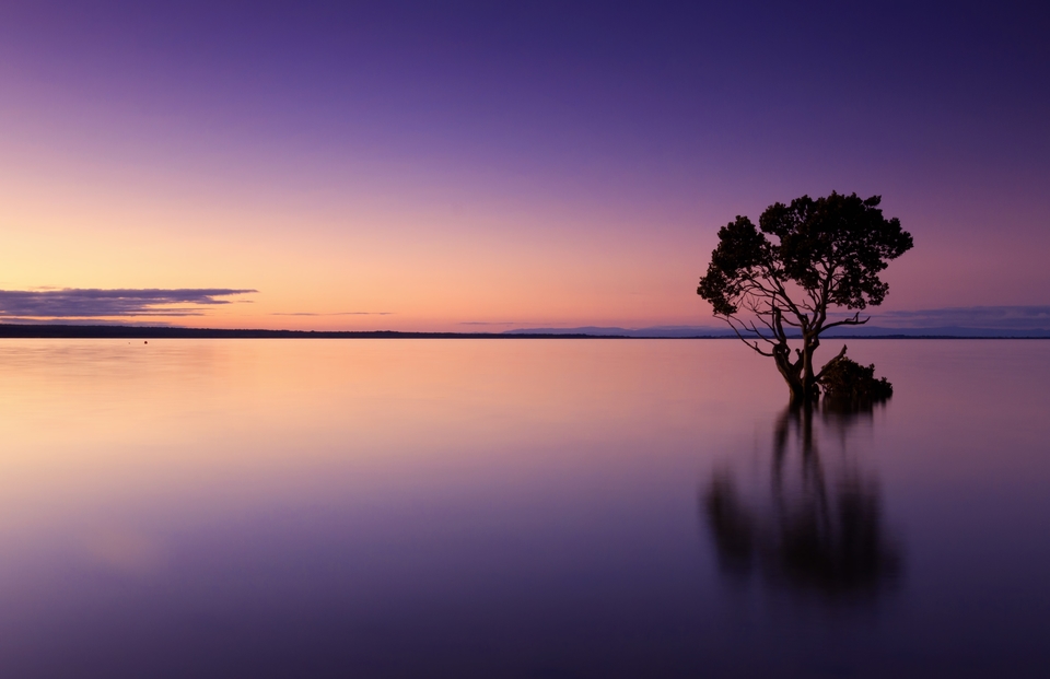 A sunset over water with a lone tree towards the right of frame