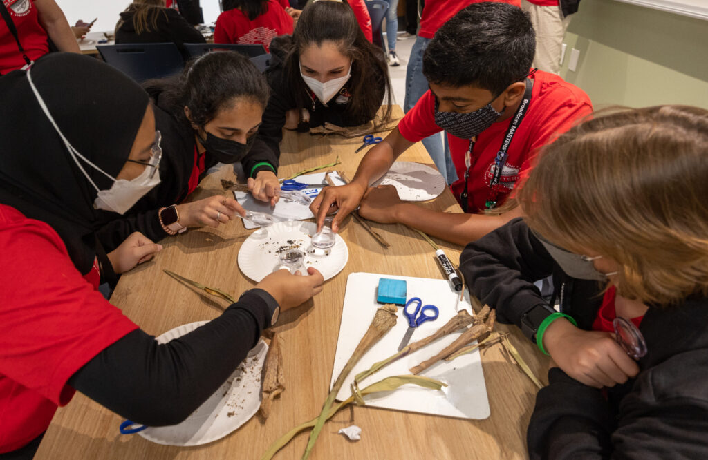 Students worked in groups to dissect carnivorous plants at the Atlanta Botanical Garden during Broadcom MASTERS International