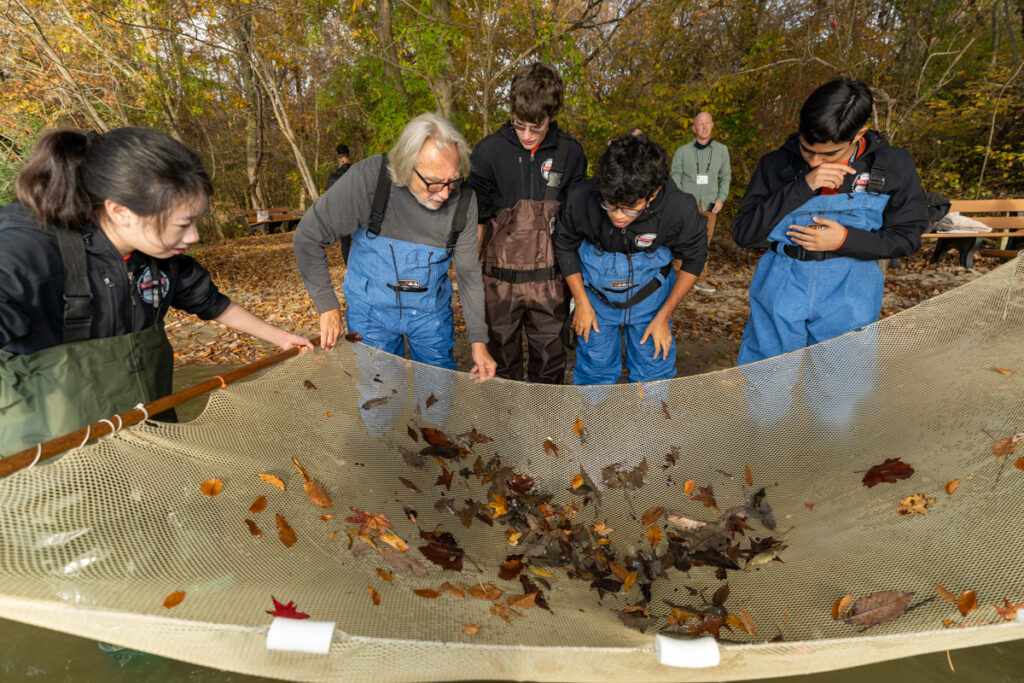 Members of the orange team stand in knee-high water, seining for marine life with a guide from SERC