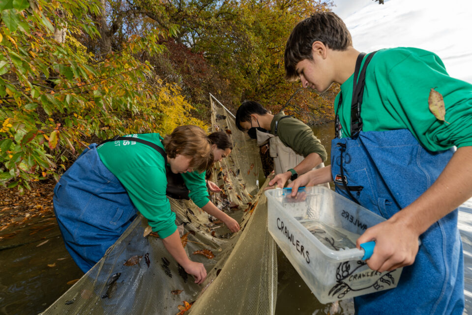 Students seining in the Bay