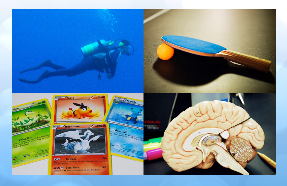Four photos in a collage. Upper left image is a scuba diver under water, upper right image is a ping pong ball and paddle on top of a ping pong table. Lower left image features four different colored Pokemon cards, lower right image is a diagram of a cross section of a human brain.