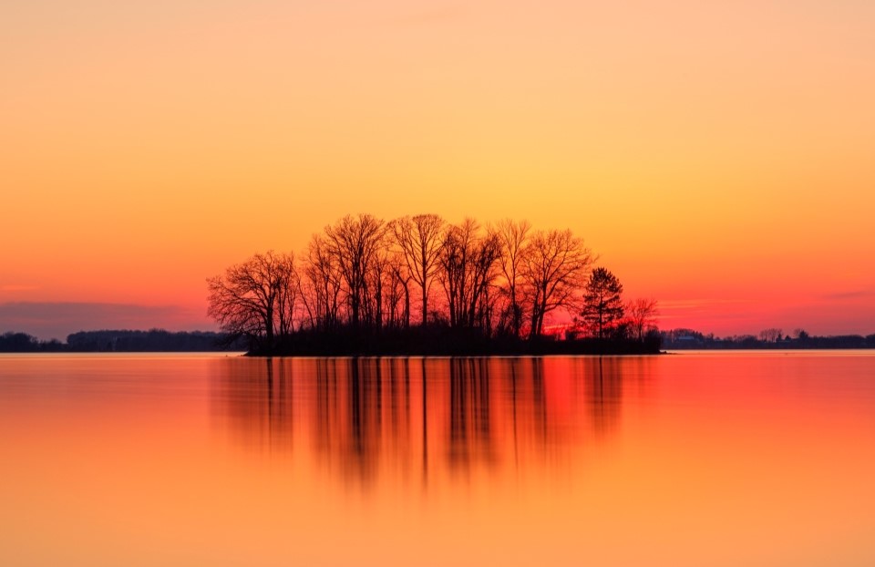 A stand of trees at sunset reflected over a body of water in the foreground