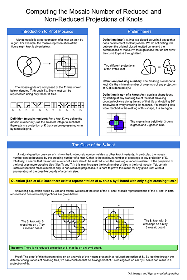 2023 STS Finalist Madeleine de Belloy - Computing the Mosaic Number of Reduced and Non-Reduced Projections of Knots