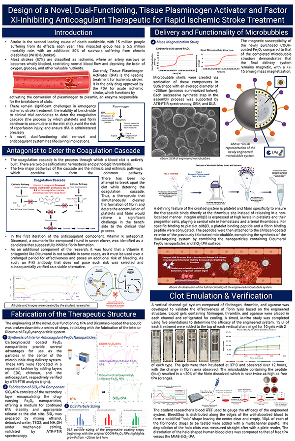 2023 STS Finalist project board poster Ambika Grover - Design of a Novel, Dual-Functioning, Tissue Plasminogen Activator and Factor XI Inhibiting Anticoagulant Therapeutic for Rapid Ischemic Stroke Treatment