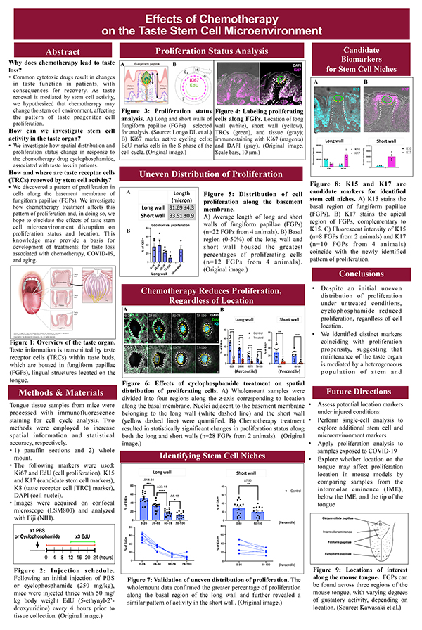 2023 STS Finalist Elane Kim project board poster: ScGAN: A Generative Adversarial Network to Predict Hypothetical Superconductors