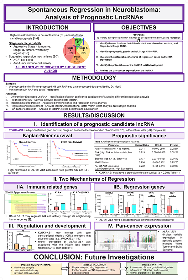 Potential Influence of LncRNAs in Tumor Regression: An Analysis of Prognostic LncRNAs in Neuroblastoma