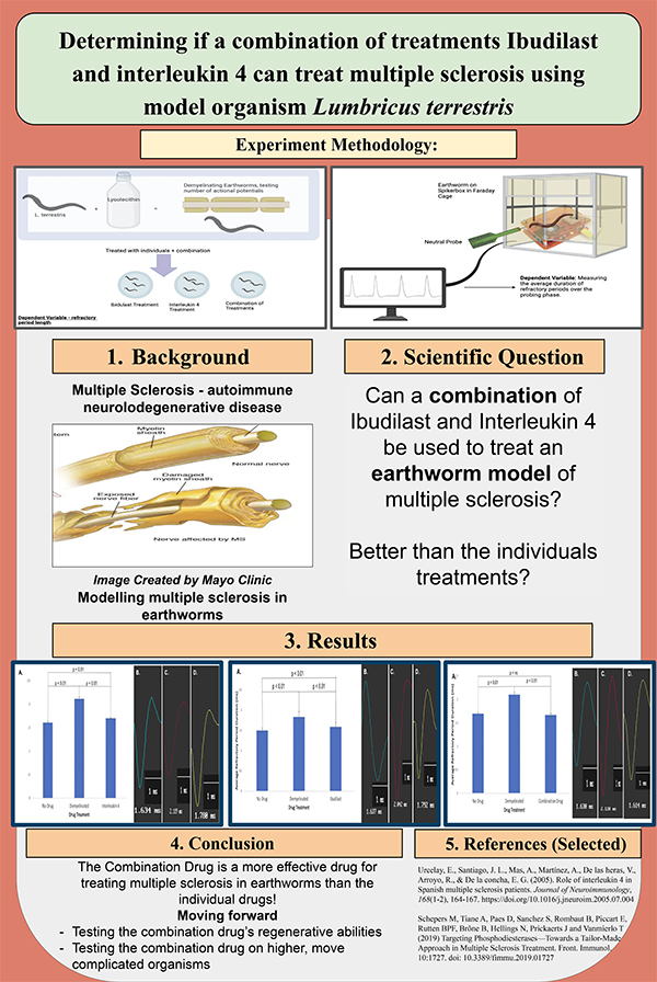 2023 STS Finalist project board poster Oziomachukwu Obi : Determining if a Combination of Treatments Ibudilast and Interleukin 4 can Treat or Prevent Multiple Sclerosis Using Model Organism Lumbricus terrestris