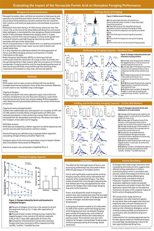 2023 STS Finalist project board poster Vivian Wu - Evaluating the Impact of the Varroacide Formic Acid on Honeybee Foraging Performance