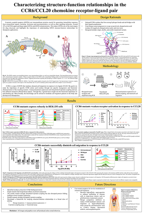 2023 STS finalist Jeffrey Xu poster projectboard : Characterizing Structure-Function Relationships in the CCR6/CCL20 Receptor-Ligand Pair