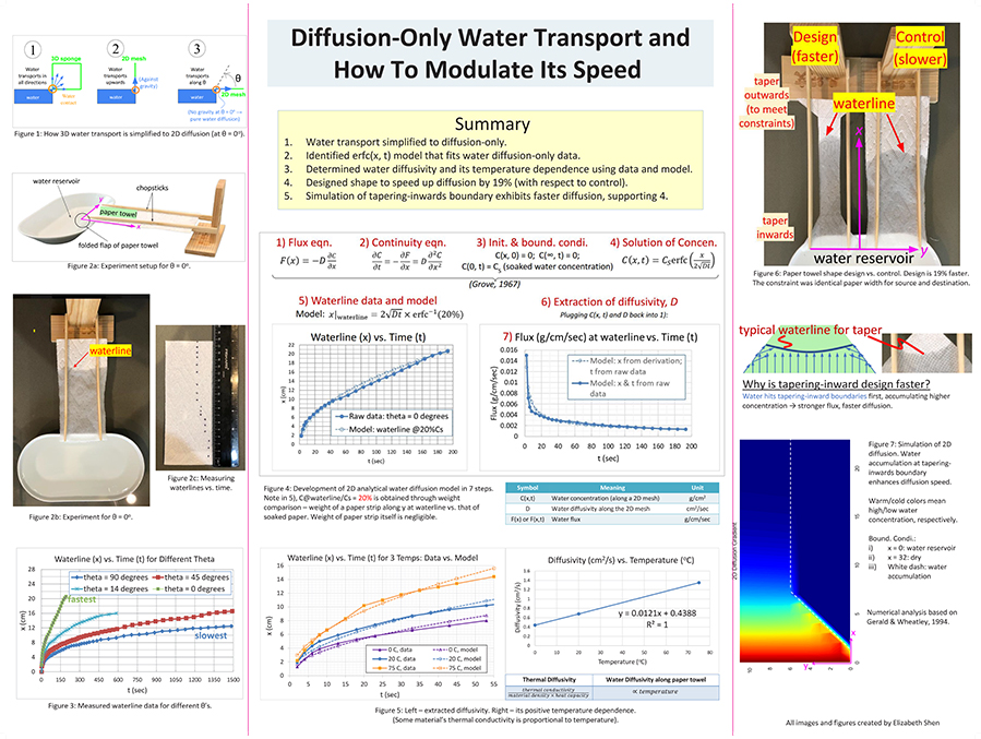 2023 Thermo Fisher JIC Finalist Elizabeth Shen: Diffusion-Only Water Transport and How to Modulate Its Speed