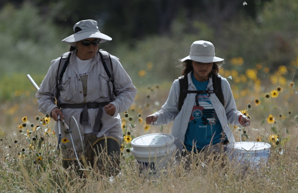 Loree Harvey - ISEF Advocate - highlighted in Science Fair the Series