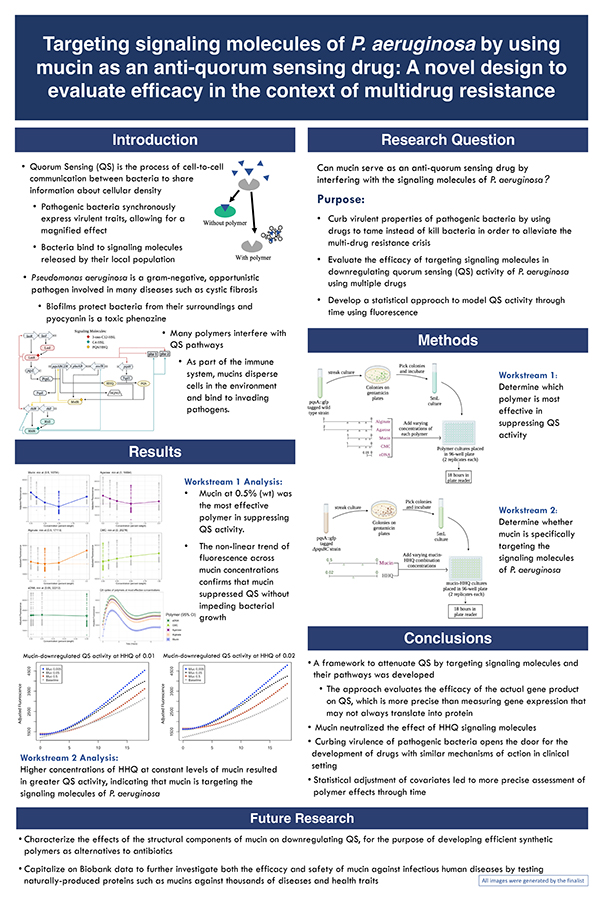 2024 Science Talent Search finalist Maryam Abdel-Azim project poster: Targeting Signaling Molecules of P. aeruginosa by Using Mucin as an Anti-Quorum Sensing Drug: A Novel Design To Evaluate Efficacy in the Context of Multidrug Resistance