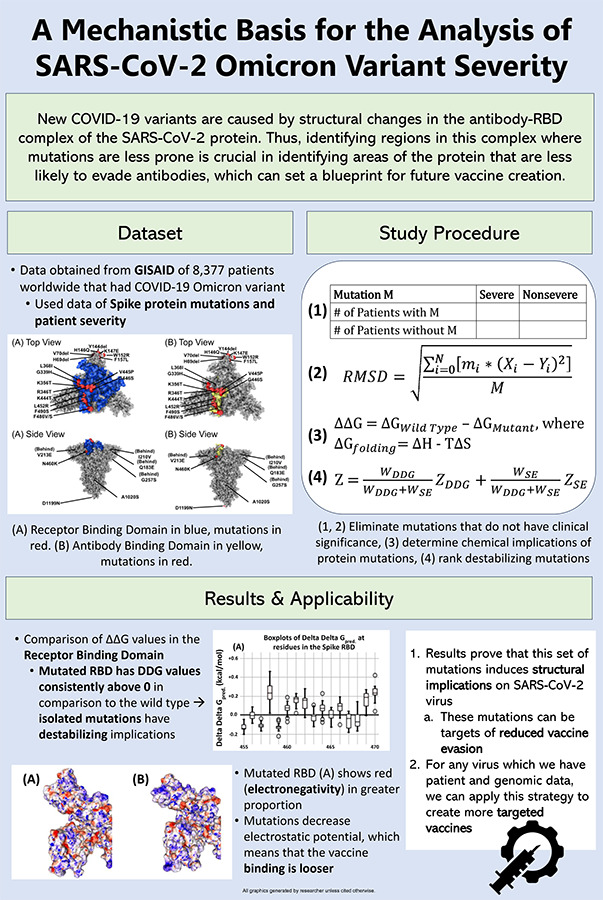 2024 Science Talent Search finalist Aarav Arora project poster: A Mechanistic Basis for the Analysis of SARS-CoV-2 Omicron Variant Severity