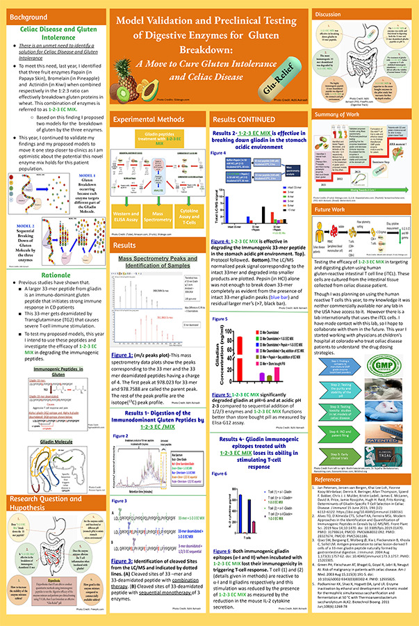2024 Science Talent Search finalist Aditi Avinash project poster: Model Validation and Preclinical Testing of Digestive Enzymes for Gluten Breakdown: A Move To Cure Gluten Intolerance and Celiac Disease
