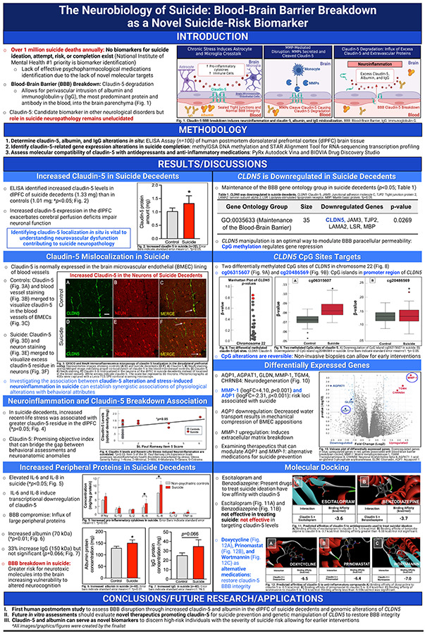2024 Science Talent Search finalist Natasha Kulviwat project poster: The Neurobiology of Suicide: Blood-Brain Barrier Breakdown as a Novel Suicide-Risk Biomarker