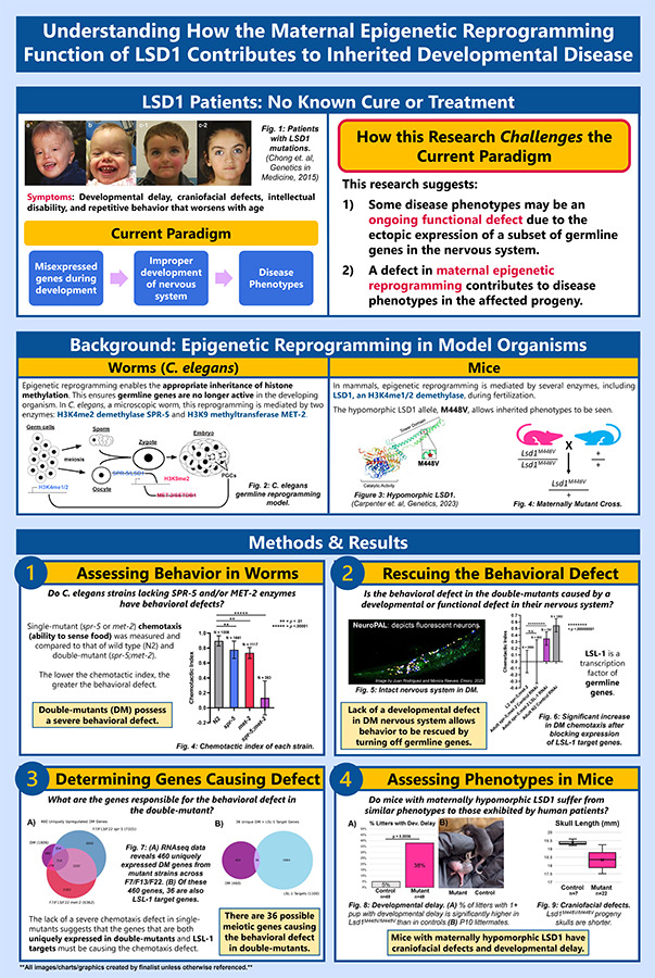 2024 Science Talent Search finalist Rhea Rastogi project poster: Understanding How the Maternal Epigenetic Reprogramming Function of LSD1 Contributes to Inherited Developmental Disease