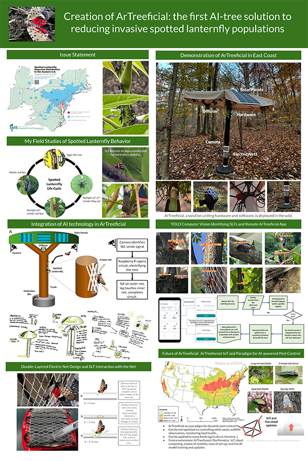 2024 Science Talent Search finalist Selina Zhang project poster: ArTreeficial: A Novel AI-Integrated Solution to Reducing Invasive Spotted Lanternfly Populations