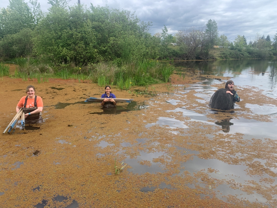 Three individuals wading in murky water during NERI's programming. 