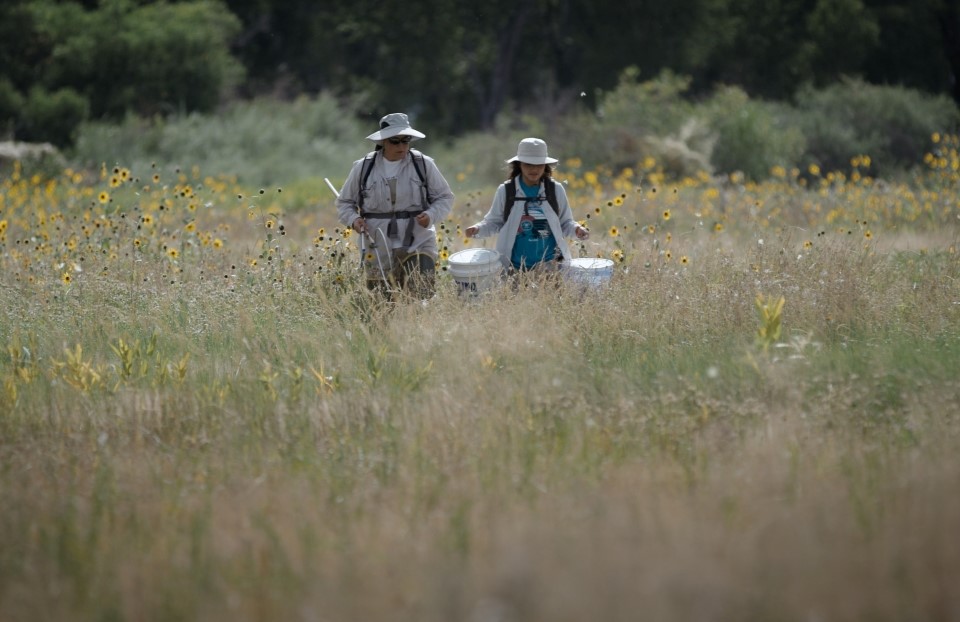 Loree Harvey conducting field research with a student.