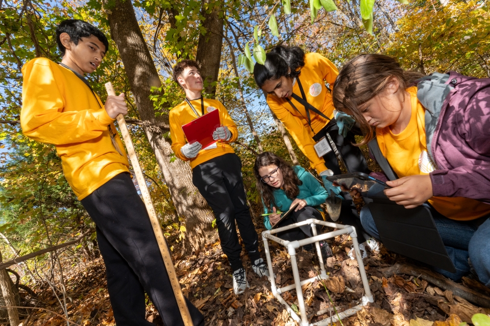 The Gold team gathers around their biocube