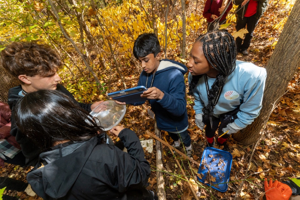 The blue team logs observations in the woodland habitat.