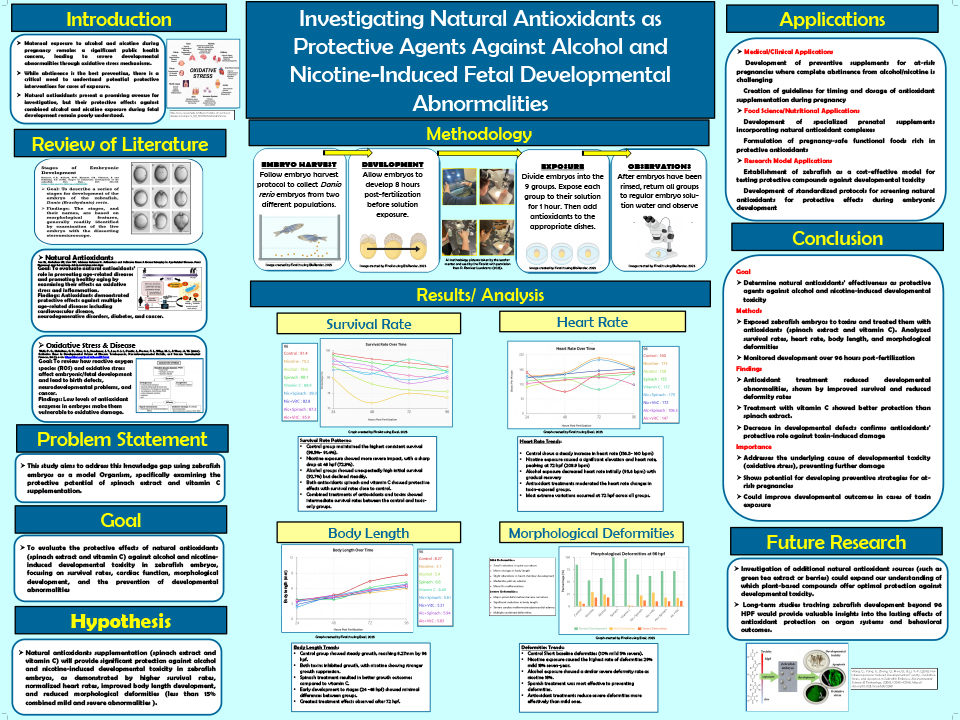 2025 Thermo Fisher JIC Paola Sofia Lumbreras: Investigating Natural Antioxidants as Protective Agents Against Alcohol and Nicotine-Induced Fetal Developmental Abnormalities
