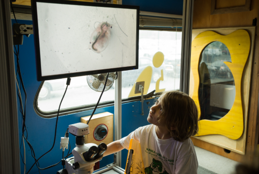 A student works with a microscope on the BioBus.